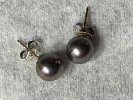 IMG_9918.jpeg IMG_9918.jpeg