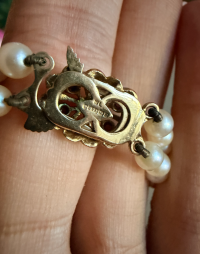 Screenshot 2025-11-08 at 4.59.40 pm.png