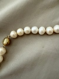 IMG_0028.jpeg IMG_0028.jpeg