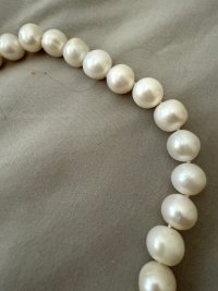 IMG_0030.jpeg IMG_0030.jpeg