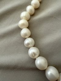 IMG_0029.jpeg IMG_0029.jpeg