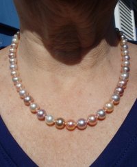 Exotic rounds 8-9mm outdoor full sun forum.jpeg