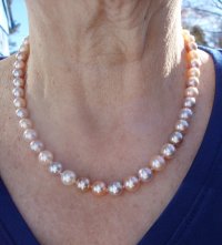 Exotic rounds 8-9mm outdoor shade forum.jpeg