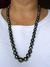 Tahitians next to open door on sunny day.jpg