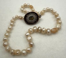 American Freshwater Strand.jpeg