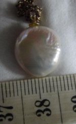 DSC00004.jpg