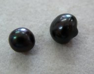 Atrina maura natural pearls 006 [640x480].jpg