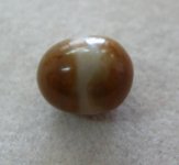 Atrina maura natural pearls 005 [640x480].jpg
