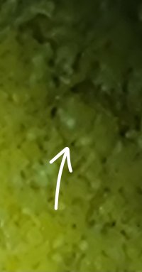 1000324070.jpg