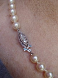 diamond clasp on graduated akoyas forum.jpeg