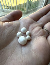 IMG_4351.jpeg