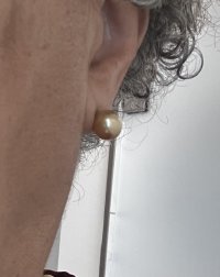 IMG_2809.jpeg