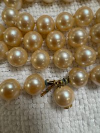 IMG_1309.jpeg