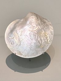 IMG_1664.jpeg
