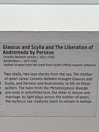 IMG_1663.jpeg