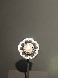 IMG_1687.jpeg