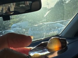 IMG_1520.jpeg