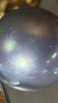 IMG_4134.jpeg