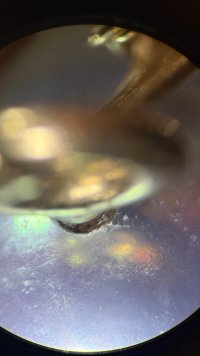 IMG_4133.jpeg
