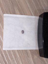 IMG_4749.jpeg