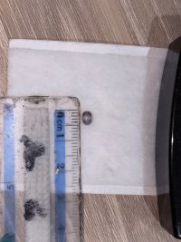IMG_4748.jpeg