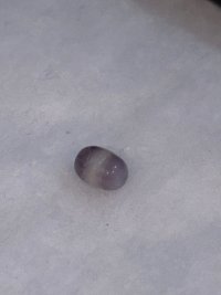 IMG_4751.jpeg