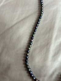 IMG_6080.jpeg