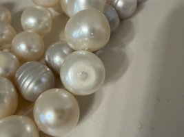 IMG_4173.jpeg