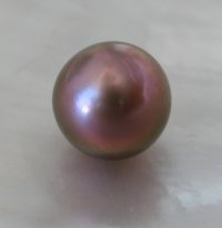 Perlas Cosecha 2011 Perlasshop #2 (1).JPG