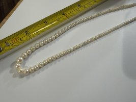 IMG_5776.jpeg