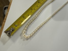 IMG_5777.jpeg