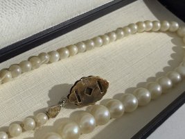 IMG_5781.jpeg