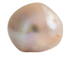 Untitled design(9).png