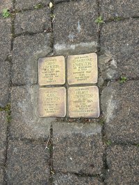IMG_8748.jpeg