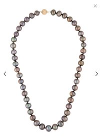IMG_1706.jpeg
