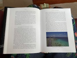 IMG_9115.jpeg