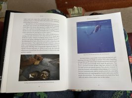 IMG_9116.jpeg