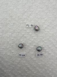IMG_9140.jpeg