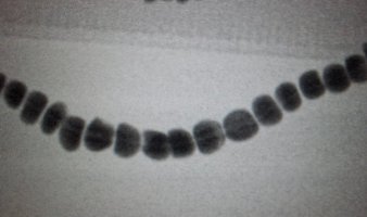 20260710_164055.jpg