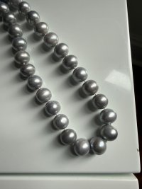 IMG_8306.jpeg