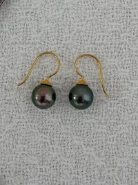 IMG_9369.jpeg