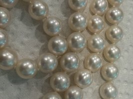 IMG_9619.jpeg