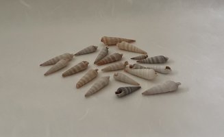 IMG_4512.jpeg