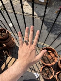 IMG_3067.jpeg