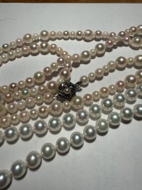 IMG_8364.jpeg