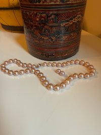 IMG_8381.jpeg