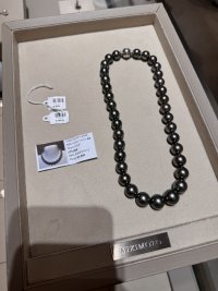 IMG_3732.jpeg