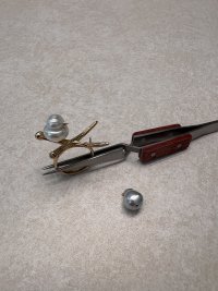 IMG_9628.jpeg