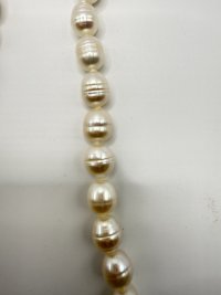 IMG_8826.jpeg