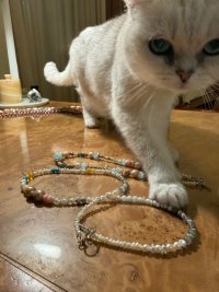 IMG_8455.jpeg